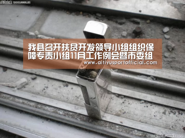 我县召开扶贫开发领导小组组织保障专责小组11月工作例会暨市委组织部督导调研反馈问题整改工作布置会“爱体育官方”(图1) 爱体育官网