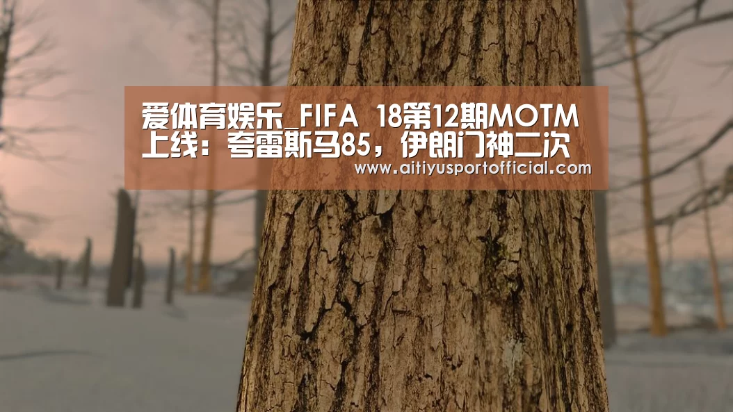 爱体育娱乐