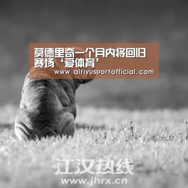 莫德里奇一个月内将回归赛场‘爱体育’(图1) 爱体育