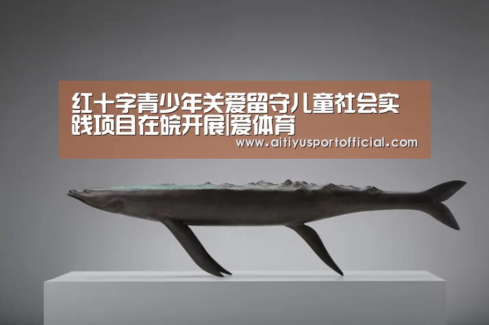 爱体育官网